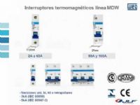 INTERRUPTORES TERMOMAGNETICOS